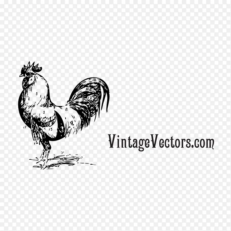 �ֻ湫��-������