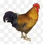 �ֻ湫��-������