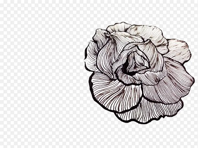 �ڰײ廭����װ��ͼ��-������