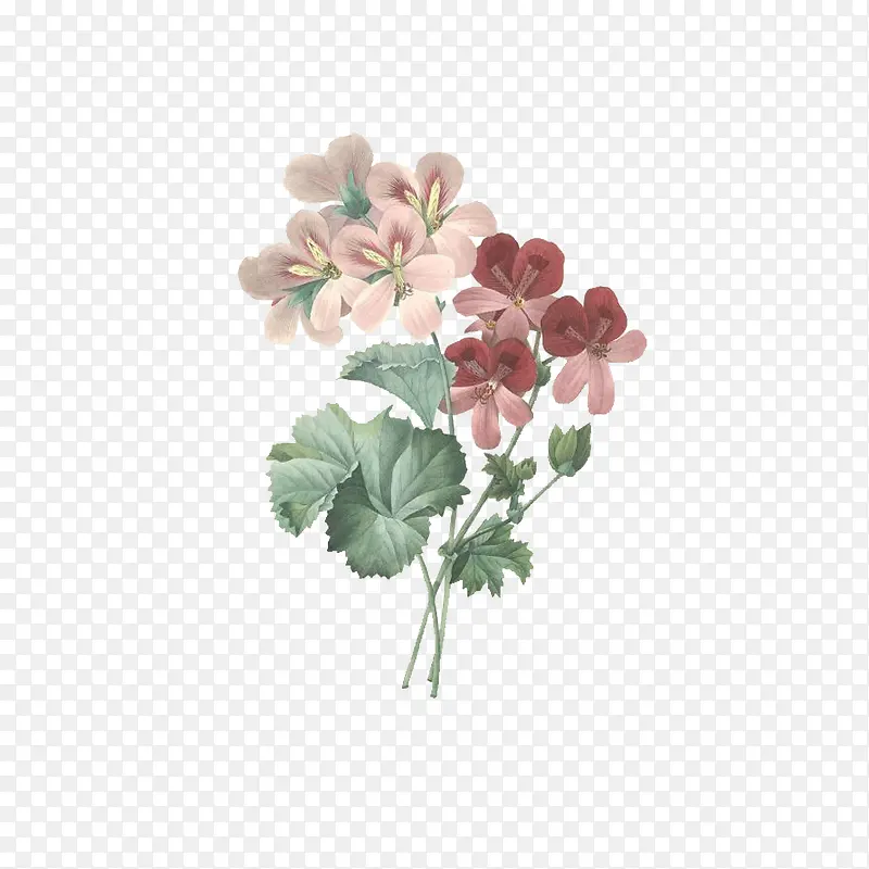 �����ֻ�-������