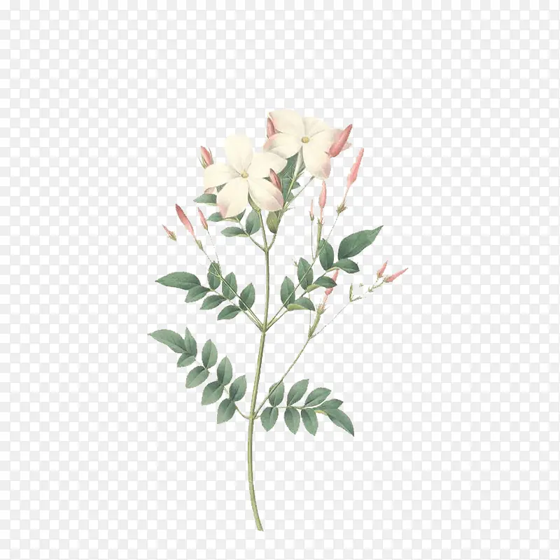 �����ֻ�-������