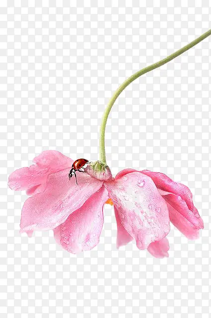 ˮ�ʷ�ɫ����-������