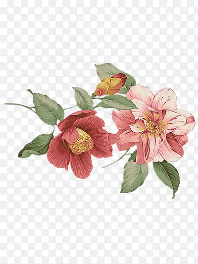 �ֻ��ʻ�-������