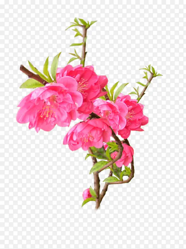 ÷���ز�-������