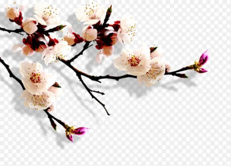 ÷��-������