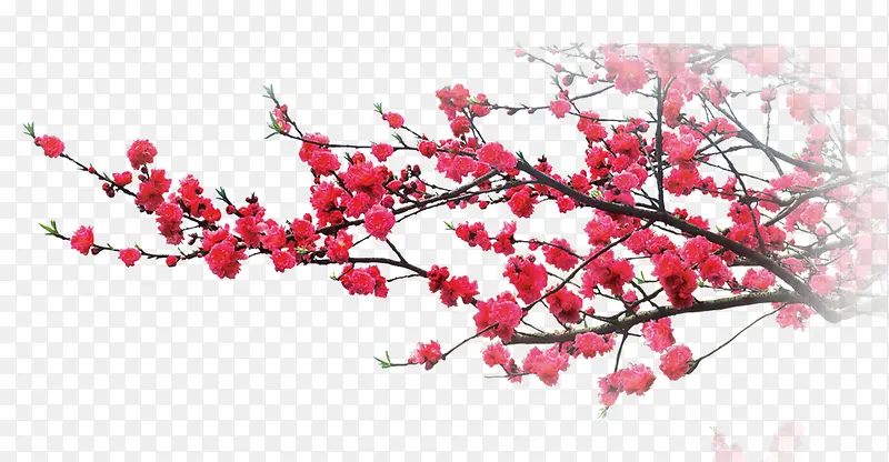 ÷��-������