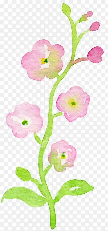 �ÿ�÷��ˮ��-������