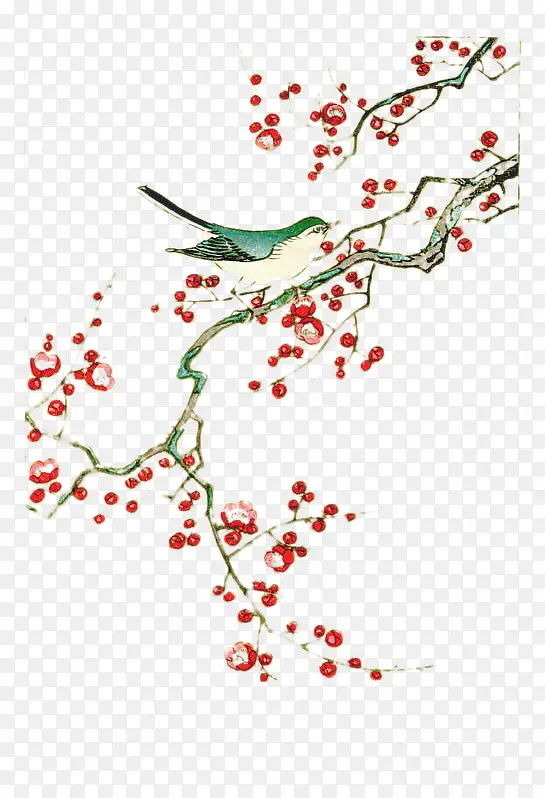 �廭-÷������-������