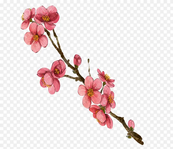 ˮ��÷��-������