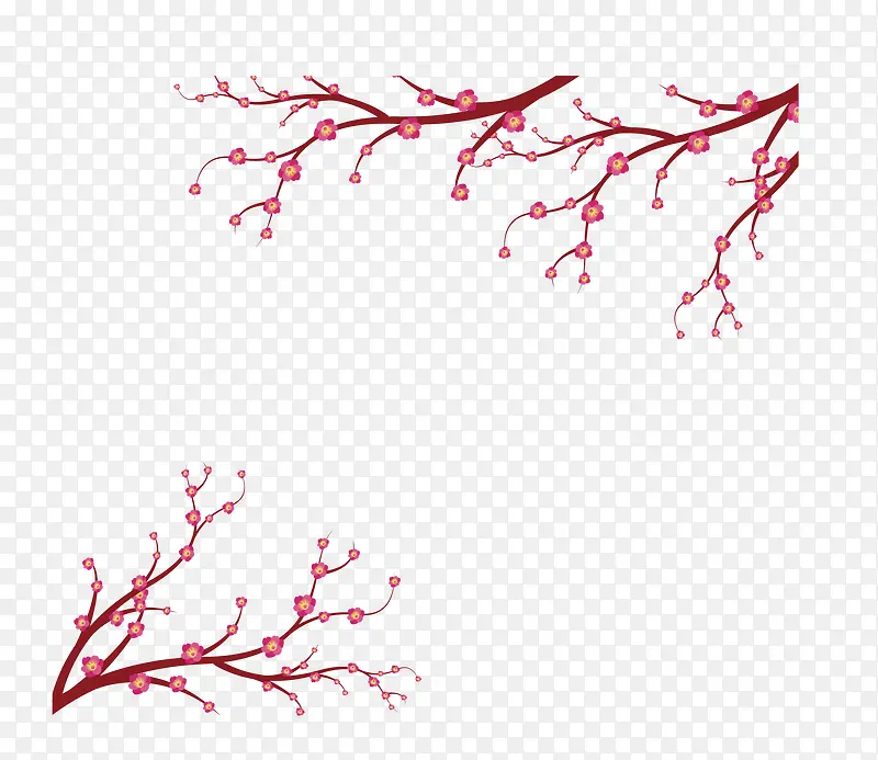 ÷����֦-������