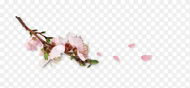 ÷��-������