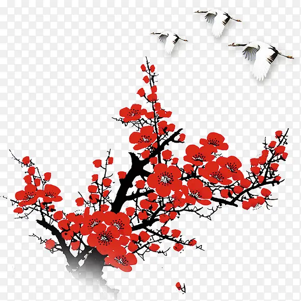 ��ɫ��÷��-������