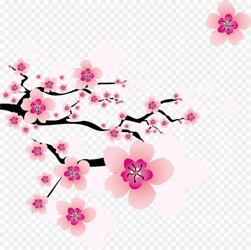 ѩ��ʸ��ѩ÷���ز�-������