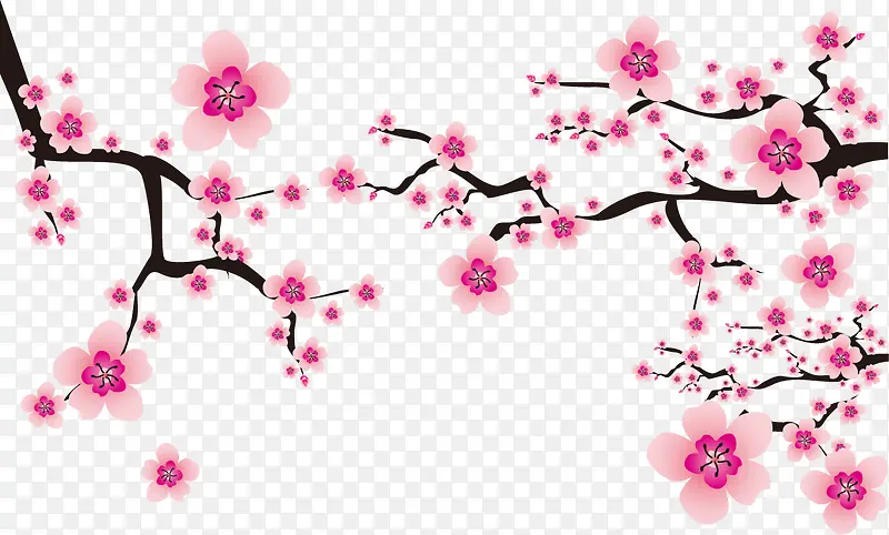 ��ͨ÷����֦-������