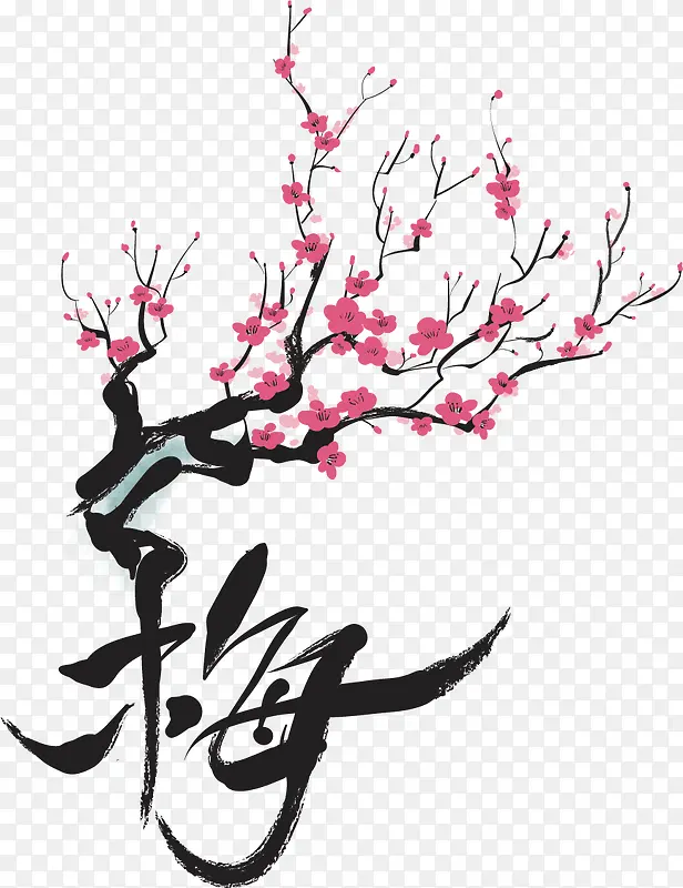 ÷��ʸ��ѩ÷���ز�-������