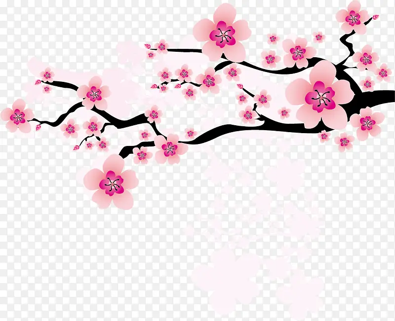 �ۺ�ɫʸ��ѩ÷���ز�-������