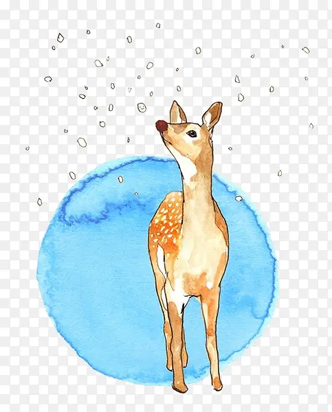 �ֻ�ˮ��÷��¹-������