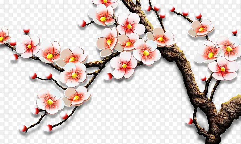 ���¿ɰ�÷�� �й���-������