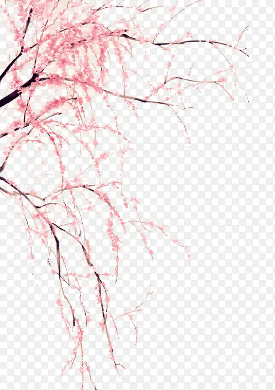 ��֦÷��-������