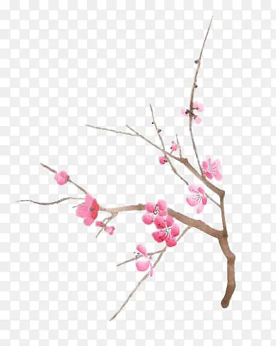 ��֦-������