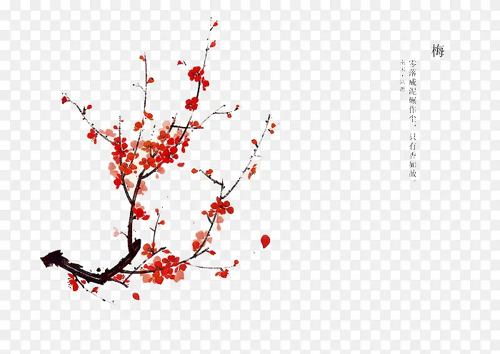 �ֻ滨��-������