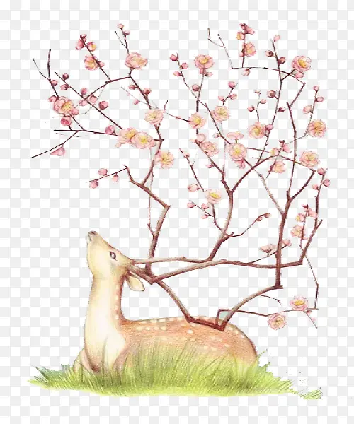 ��ͨ÷��¹-������