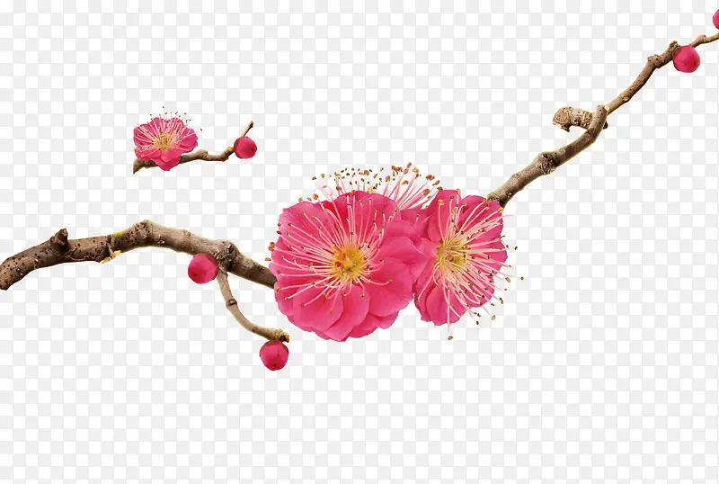 ����÷��-������