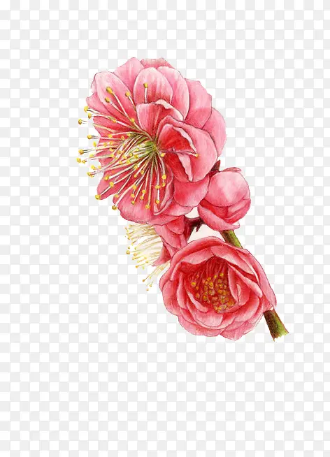 �ֻ���÷-������