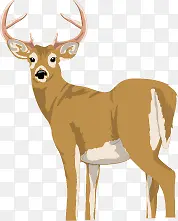 �ɰ���ͨ÷��¹-������