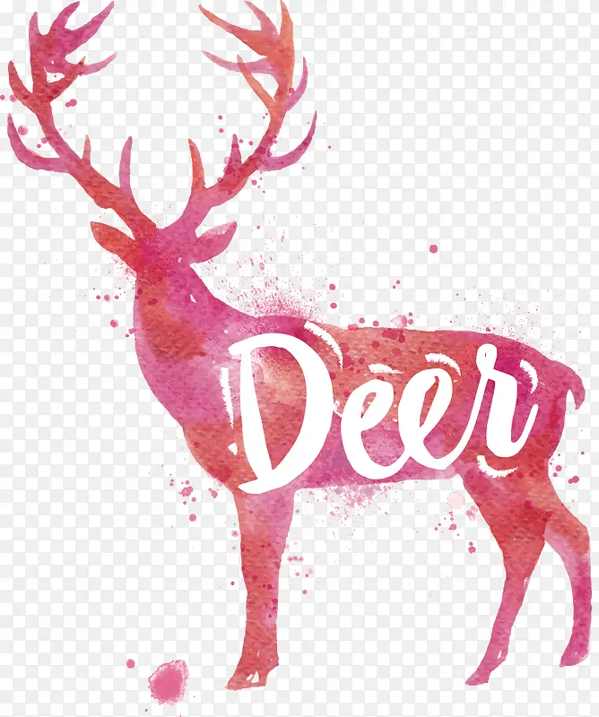 ˮ�ʶ���-������