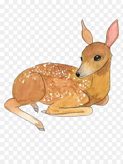 �ֻ�÷��¹-������