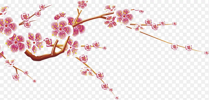 ��ɫһ֦÷-������