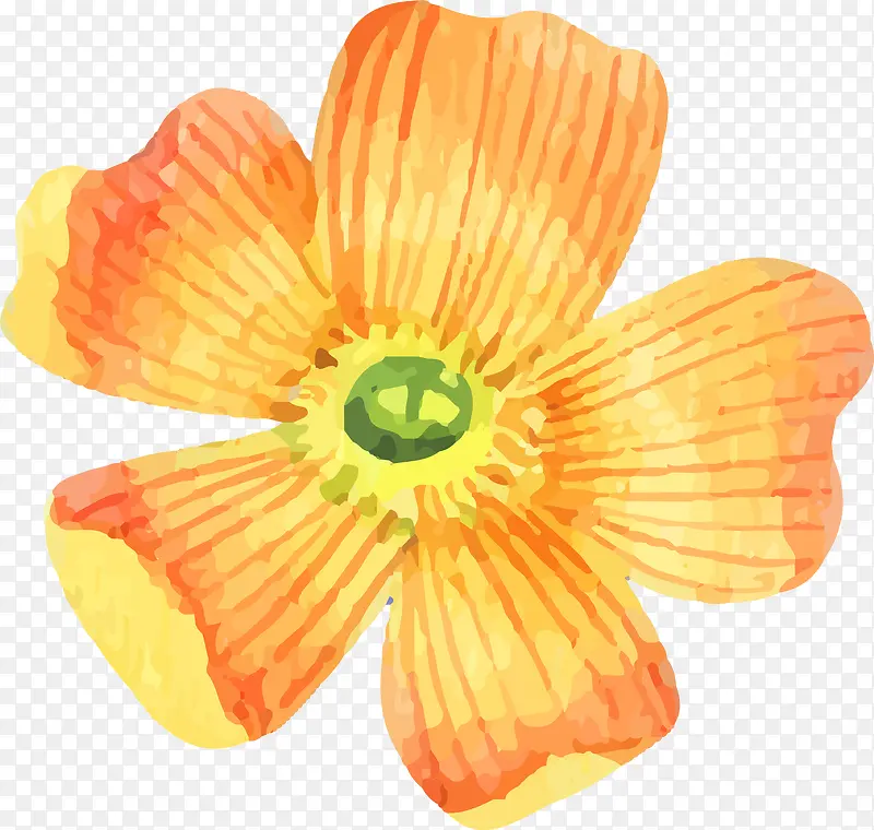 �ֻ滨��-������