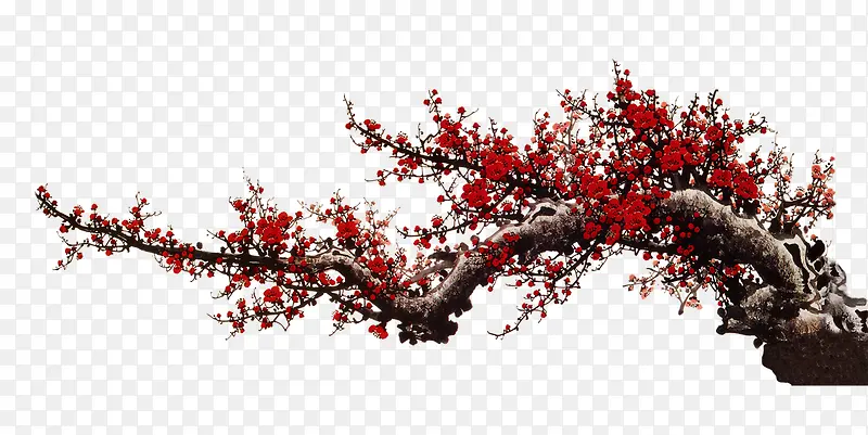 ��֦-������