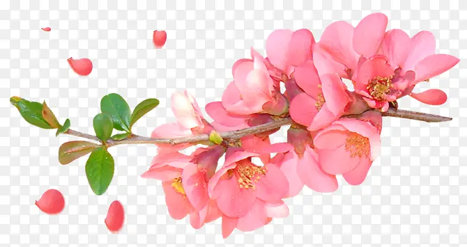 ÷��-������