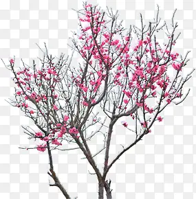 ��ɫ�ֻ�÷������-������