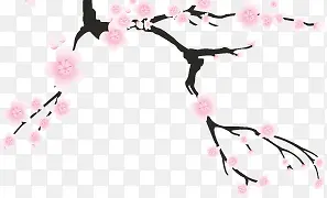 �ɰ���ɫ����÷��-������