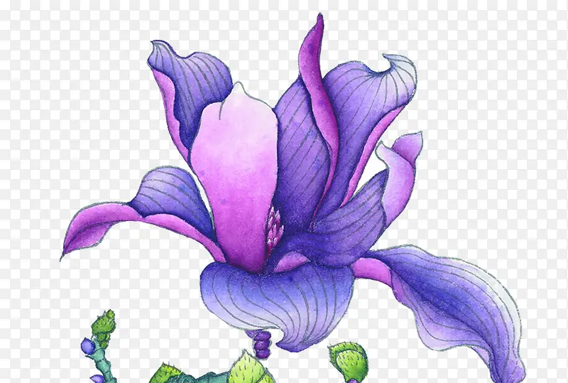 ˮ�ʻ���-������