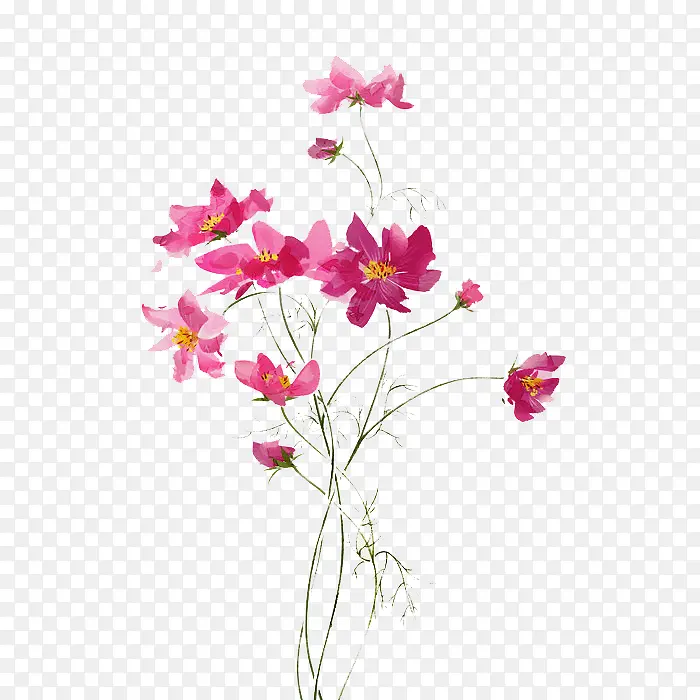 �ֻ滨��-������