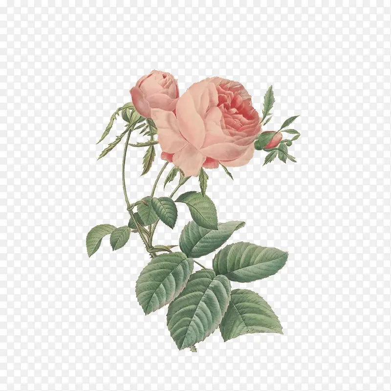 �����ֻ�-������