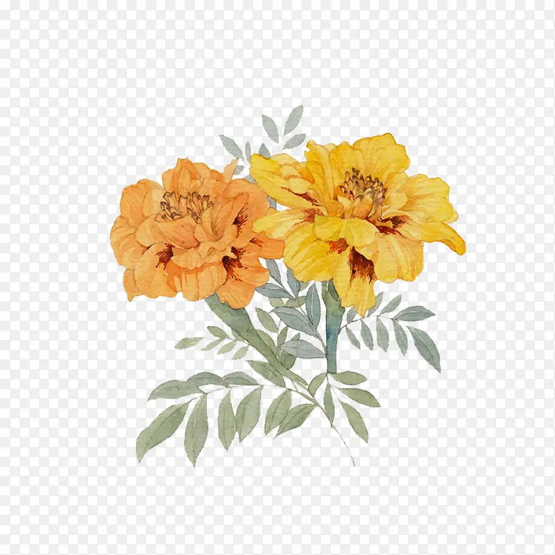 �����ֻ�-������