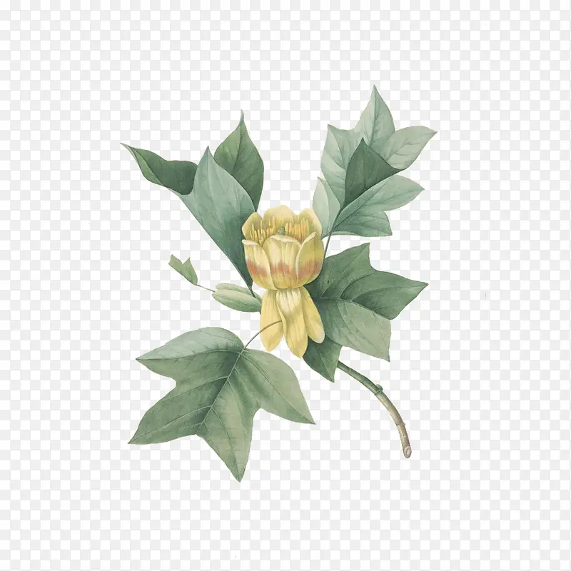 �����ֻ�-������