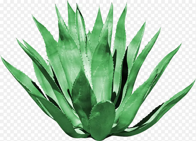 ���������زĻ���ͼ���ز�-������