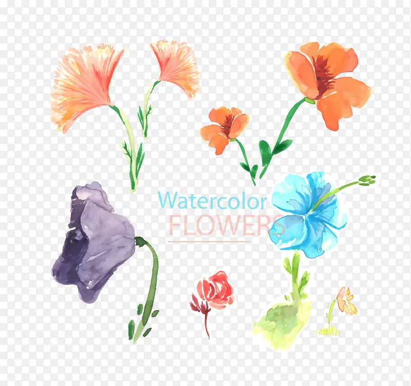 ˮ�ʻ���-������