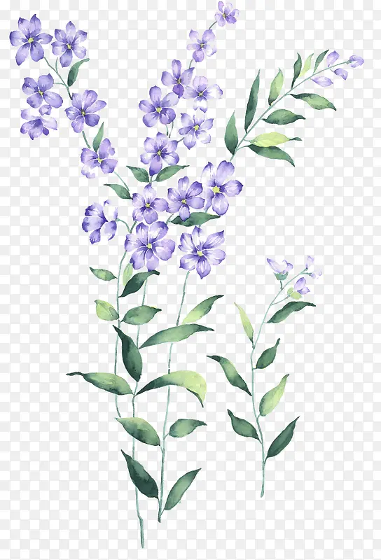 �ֻ�-������