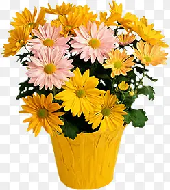 �ֻ滨���ز�װ��ͼ��-������