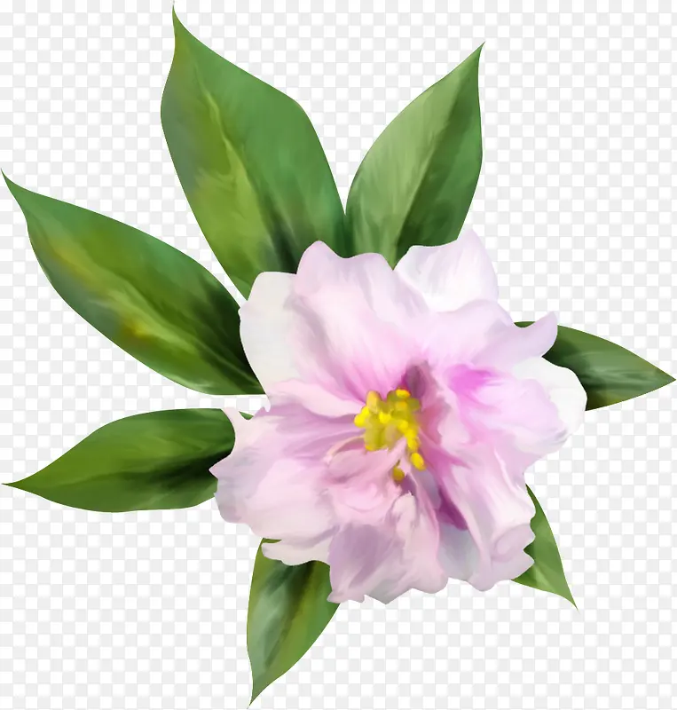 ����ͼ������ʸ��ͼ�ز�-������