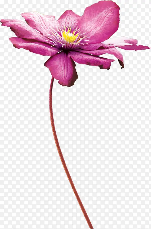 ��������زĻ�������-������