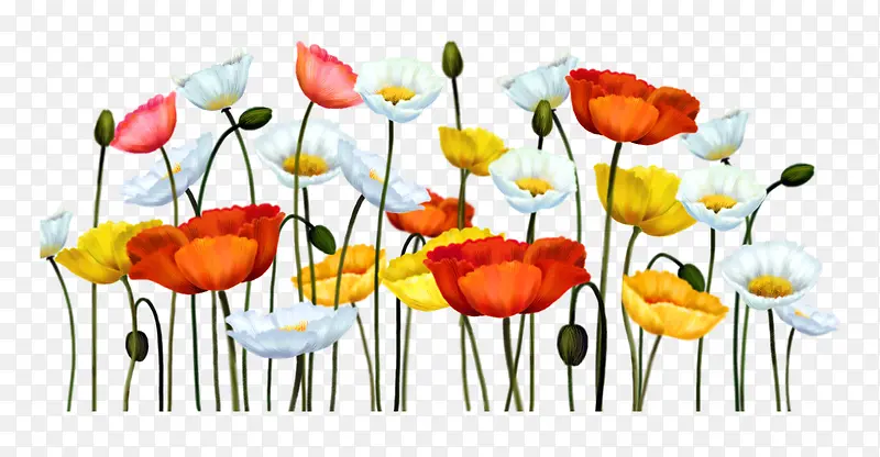 ����ͼ���زĻ��ݱ�ǩ-������