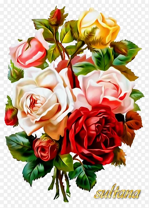 �ֻ�װ���ز�ʸ�������ز�-������